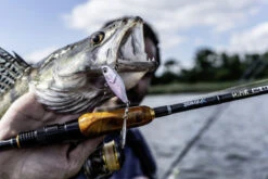 Quantum 4Street Spin-Jig 14g 7 Quantum 4Street Spin-Jig 14g -Ausgewählte Geschäfte Für Angelausrüstung 22 3494304r 3