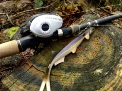 Quantum Accurist Baitcast AT101 HPT -Ausgewählte Geschäfte Für Angelausrüstung 22 570101 6