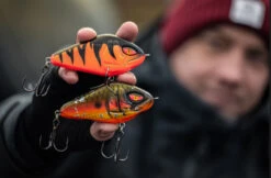 Daiwa PX Lazy Jerk Distance -Ausgewählte Geschäfte Für Angelausrüstung 32 217457r 3