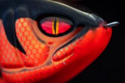 Daiwa PX Lazy Jerk Distance -Ausgewählte Geschäfte Für Angelausrüstung 32 217457r 4