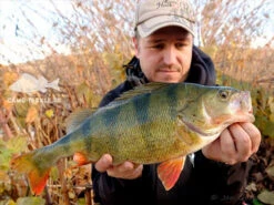 Keitech Crazy Flapper 3,6'', 9cm (7-pack) -Ausgewählte Geschäfte Für Angelausrüstung 58510BOWEr 5