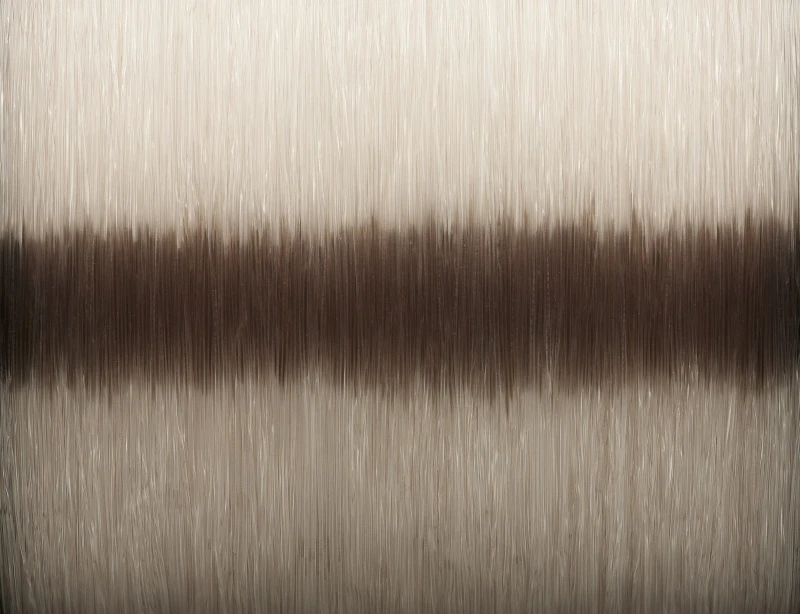 Savage Gear Silencer Mono Fade 300m 2 Savage Gear Silencer Mono Fade 300m – Bild 2