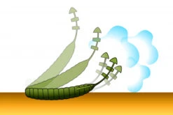 Deps Bull Flat 3.8'' -Ausgewählte Geschäfte Für Angelausrüstung D BF38 18r 6