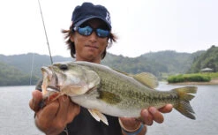 Fish Arrow Flash J Split -Ausgewählte Geschäfte Für Angelausrüstung FA 4562178063738r 3