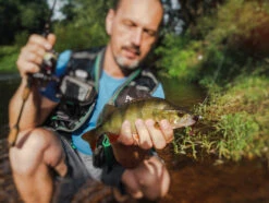 Perch Professor Fluky Shad 5,5cm (6pcs) -Ausgewählte Geschäfte Für Angelausrüstung FS556P Or 3