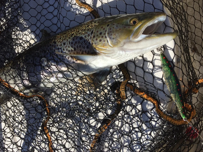 Ivan Draget Original 22g, 11cm 2 Ivan Draget Original 22g, 11cm – Bild 2