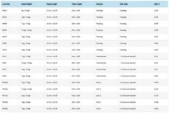 Vision Attack WF -Ausgewählte Geschäfte Für Angelausrüstung VC3Fr 3