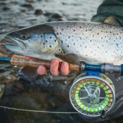 Vision Stifu Flyrod -Ausgewählte Geschäfte Für Angelausrüstung VFU4967r 3